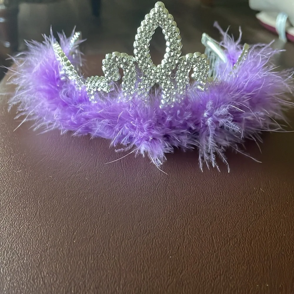 Princess Tiara Silver with purple feathers - One Size Fits Most Child